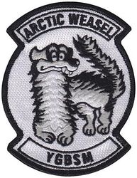 356th Fighter Squadron Wild Weasel
