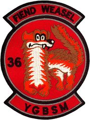 36th Fighter Squadron Wild Weasel
