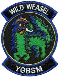 36th Fighter Squadron COPE TAUFAN 2023 Wild Weasel
