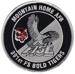 391st Fighter Squadron F-15E
