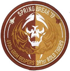391st & 493d Expeditionary Fighter Squadron Operation INHERENT RESOLVE 2019
Keywords: Desert