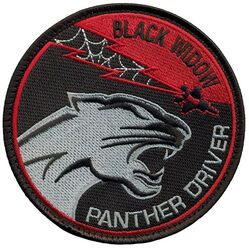 421st Fighter Squadron F-35 Pilot 
