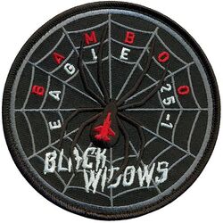 421st Fighter Squadron Exercise BAMBOO EAGLE 2025-1
