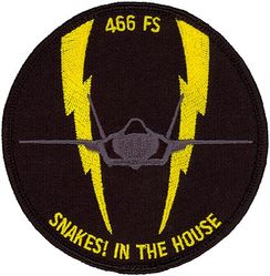 466th Fighter Squadron F-35
