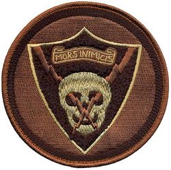 493d Fighter Squadron Heritage
Keywords: OCP