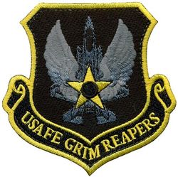 493d Fighter Squadron US Air Forces In Europe Morale
