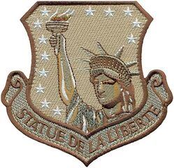 48th Expeditionary Fighter Wing
493d Expeditionary Fighter Squadron
