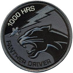 493d Fighter Squadron F-35 Pilot 1000 Hours
