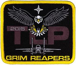 493d Fighter Squadron Tactical Leadership Program 2015
