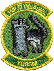 495th Fighter Squadron Wild Weasel
