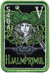 495th Fighter Squadron F-35A 19-5484
