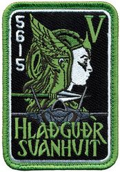 495th Fighter Squadron F-35A 20-5615
