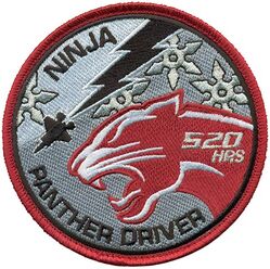 52d Fighter Squadron F-35 Pilot 520 Hours
