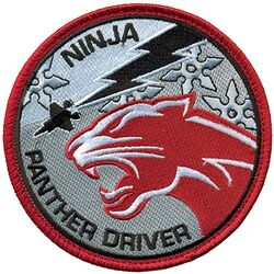 52d Fighter Squadron F-35 Pilot
