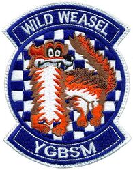 55th Fighter Squadron Wild Weasel
