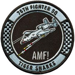 75th Fighter Squadron A-10 Morale
