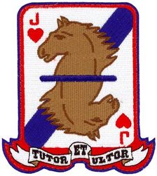 434th Flying Training Squadron Heritage

