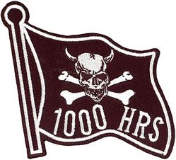 434th Fighter Training Squadron 1000 Hours
