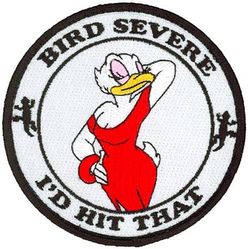 Class 2010-06 Specialized Undergraduate Pilot Training Morale
