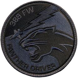 388th Fighter Wing F-35 Pilot 
