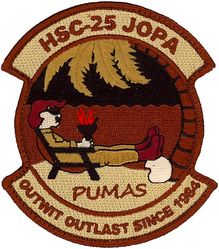 Helicopter Sea Combat Squadron 25 (HSC-25) Junior Officer Protection Association
Established as Helicopter Combat Support Squadron FIVE (HC-5) “Providers” on 3 Feb 1984. Redesignated Helicopter Sea Combat Squadron TWO FIVE (HELSEACOMBATRON 25) (HSC-25) “Island Knights” on 21 Apr 2005-.

Sikorsky MH-60S Knighthawk


