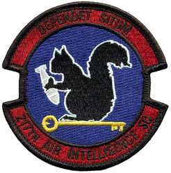 217th Air Intelligence Squadron
