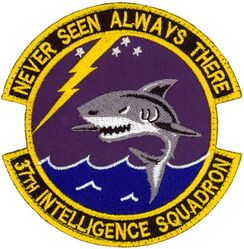 37th Intelligence Squadron 
