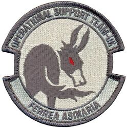 48th Medical Group Operational Support Team-UK
