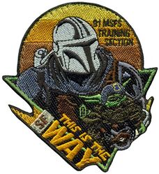 91st Missile Security Forces Squadron Training Section Morale
