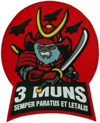 3d Munitions Squadron Morale
Keywords: PVC