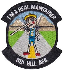 388th Maintenance Squadron Non-Destructive Inspection Section Morale
