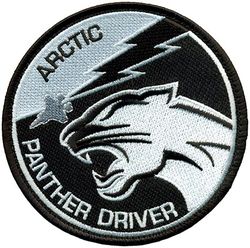 354th Operations Group F-35 Pilot
