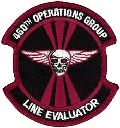 460th Operations Group Line Evaluator
