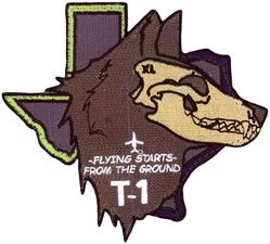 47th Operations Group T-1
