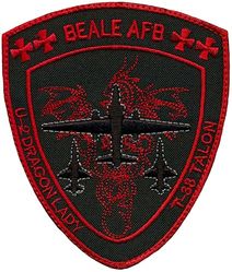 9th Operations Group T-38 & U-2 Demonstration Team
