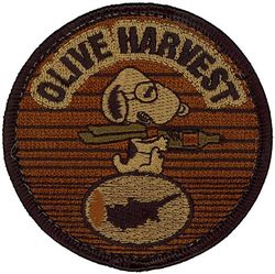 9th Operations Group Detachment 1
Keywords: OCP