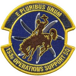 153d Operations Support Squadron 
