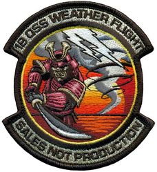 18th Operations Support Squadron Weather Flight
