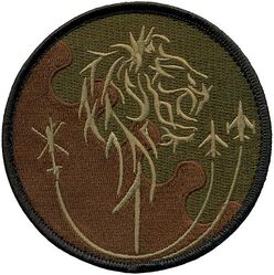 31st Operations Support Squadron Morale
Keywords: OCP