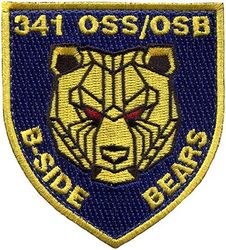 341st Operations Support Squadron
