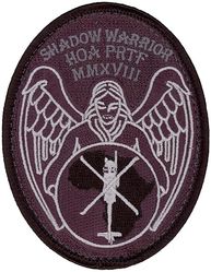 303d Expeditionary Rescue Squadron Shadow Warrior

