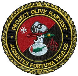 1st Expeditionary Reconnaissance Squadron Project OLIVE HARVEST
Keywords: Snoopy