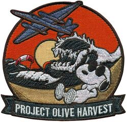 1st Expeditionary Reconnaissance Squadron OLIVE HARVEST
Keywords: Snoopy