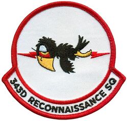 343d Reconnaissance Squadron 
