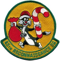 45th Reconnaissance Squadron Morale
