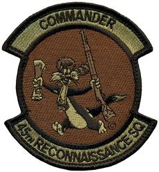 45th Reconnaissance Squadron Commander
Keywords: OCP