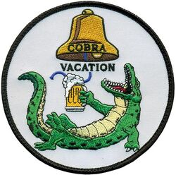 45th Reconnaissance Squadron Cobra Ball Morale
