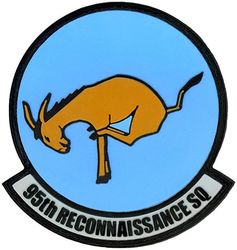 95th Reconnaissance Squadron
Keywords: PVC