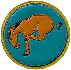 95th Reconnaissance Squadron Heritage
