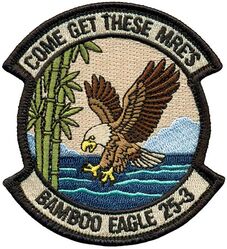 432d Wing Exercise BAMBOO EAGLE 25-3
